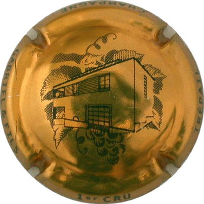 N°05 Or et noir
Photo GOURAUD Jacques
