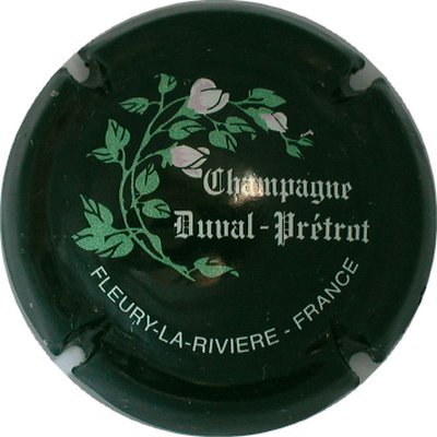 N°05a Fond vert-noir
Photo GOURAUD Jacques
