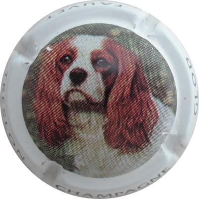 N°07 5 sur 6 Cavalier King Charles
Photo GOURAUD Jacques
