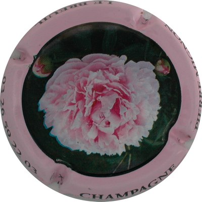 N°067 Pivoine, contour rose
Photo GOURAUD jacques
