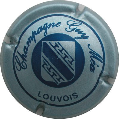 N°06 Gris-bleuté et bleu
Photo GOURAUD Jacques
