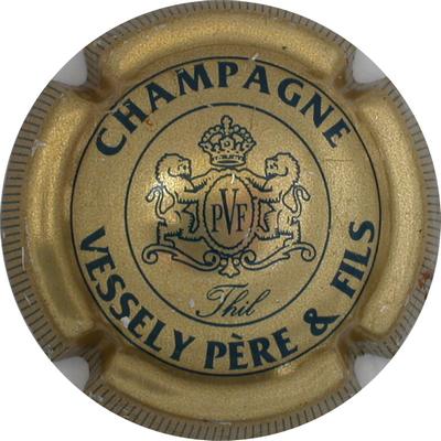 N°06a Or et bleu foncé, striée
Photo GOURAUD Jacques
