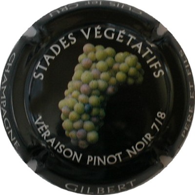 N°07 Veraison pinot noir
Photo GOURAUD Jacques
