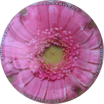 N°0871d
Photo GOURAUD Jacques
