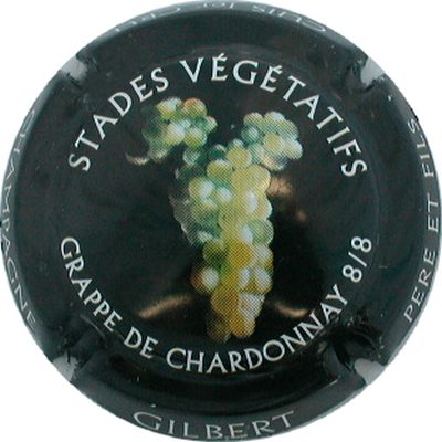 N°08 Grappe de chardonnay
Photo GOURAUD Jacques
