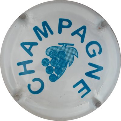 C11d Blanc et bleu
Photo GOURAUD Jacques
