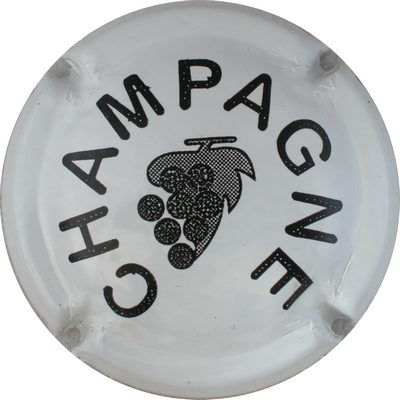 C11 Blanc et noir
Photo GOURAUD Jacques
