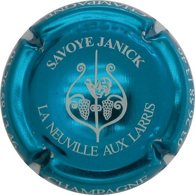 N°23 Bleu métallisé et blanc
Photo GOURAUD Jacques
