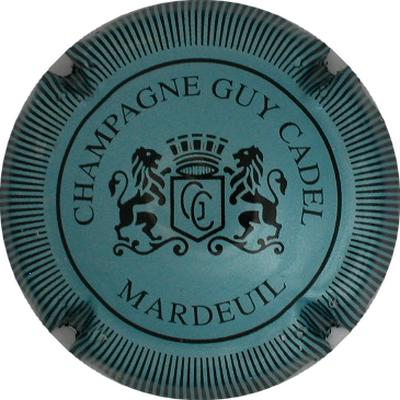 N°08 Bleu pâle et noir, striée
Photo GOURAUD Jacques
