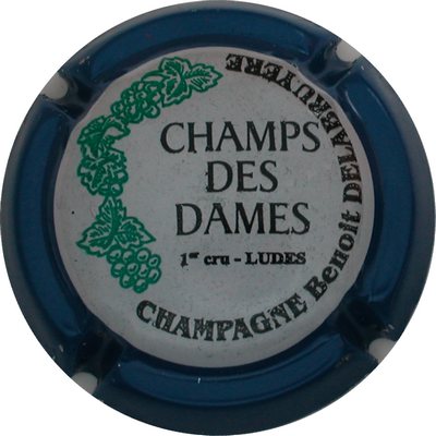 N°06 Série de 6, Champs des dames, contour bleu
Photo GOURAUD Jacques
