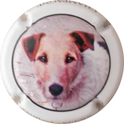 N°04 Chien polychrome
Photo GOURAUD Jacques
