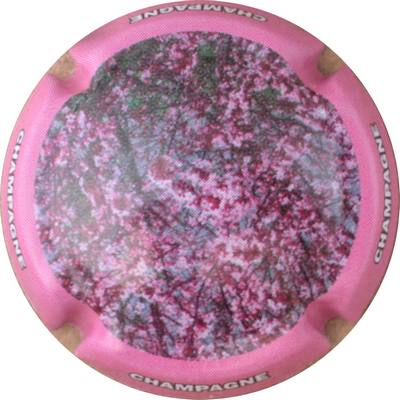 N°0865d Contour rose
Photo GOURAUD Jacques
