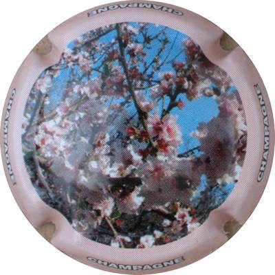 N°0865a Contour saumon
Photo GOURAUD Jacques
