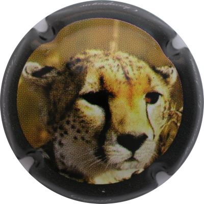 N°05 Série de 2 (guépards), contour noir
Photo GOURAUD Jacques
