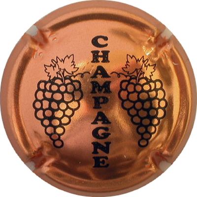 C05 Cuivre et noir
Photo GOURAUD Jacques
