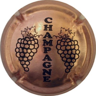 C05 Cuivre pâle et noir
Photo GOURAUD Jacques
