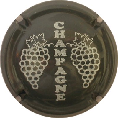 C05 Gris et blanc
Photo GOURAUD Jacques
