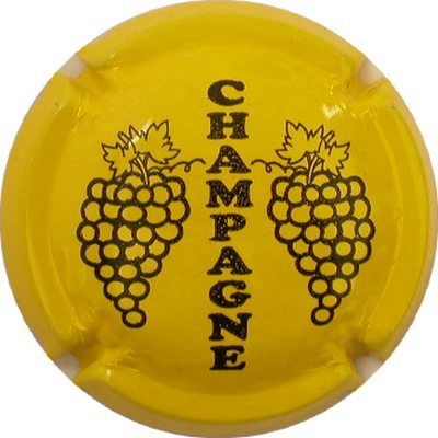 C05 Jaune et noir
Photo GOURAUD Jacques
