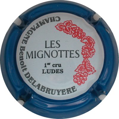 N°08 Série de 6, LES MIGNOTTES, contour bleu
Photo GOURAUD Jacques
