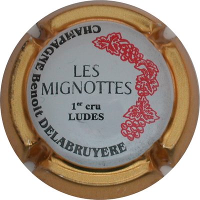 N°08 Série de 6, LES MIGNOTTES, contour or
Photo GOURAUD Jacques
