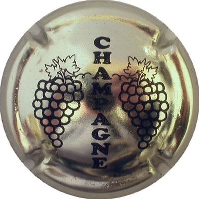 C05 Métal et noir
Photo GOURAUD Jacques
