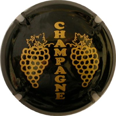 C05 Noir et or
Photo GOURAUD Jacques
