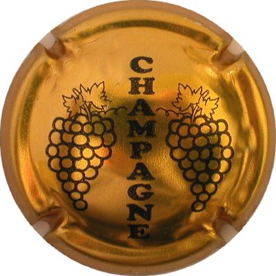 C05 Or et noir
Photo GOURAUD Jacques
