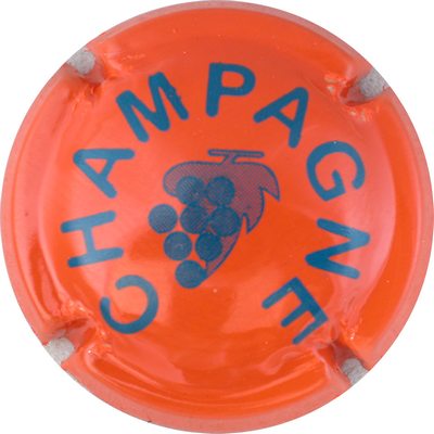 C11c Orange et bleu
Photo GOURAUD Jacques
