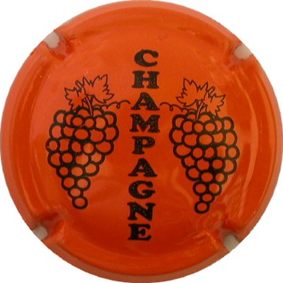 C05 Orange et noir
Photo GOURAUD Jacques
