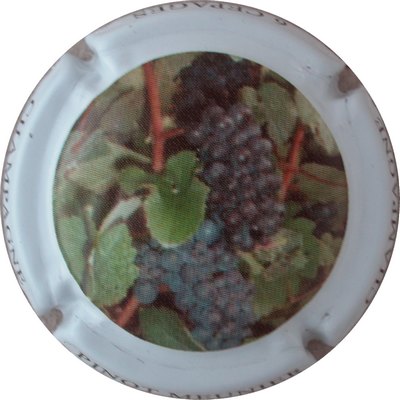 N°0847d Pinot meunier
Photo GOURAUD Jacques
