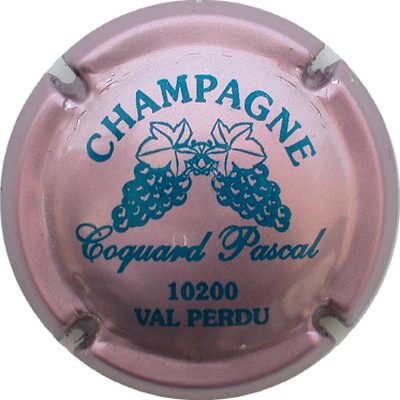 N°01 Série Grappes, Rose et bleu
Photo GOURAUD Jacques
