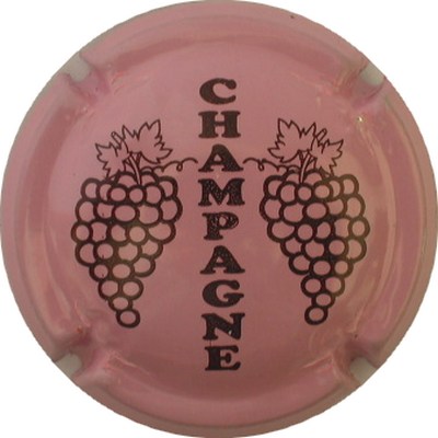 C05 Rose pâle et marron
Photo GOURAUD Jacques
