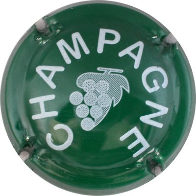 C11x Vert et blanc
Photo GOURAUD Jacques
