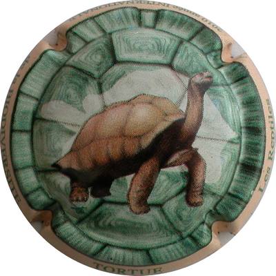N°0785d Tortue
Photo GOURAUD Jacques

