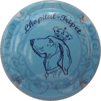 N°02 Chien, bleu et bleu foncé
Photo GAXATTE Bernard
