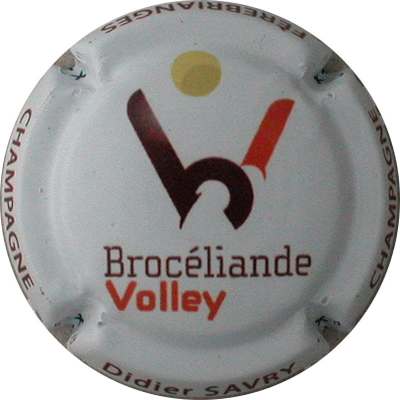 N°41 Broceliande Volley
Photo Jacques GOURAUD
