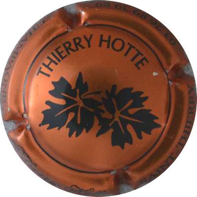 N°51b Cuivre et noir
Photo Jacques GOURAUD
