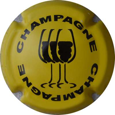 C07 Jaune et noir 
Photo GOURAUD Jacques
