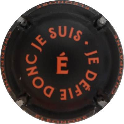 N°NR Je défie, donc je suis, E, noir et orange
Photo Jacques GOURAUD
Mots-clés: NR