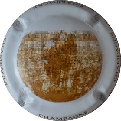 C45 Marron, contour blanc
Photo GOURAUD Jacques
