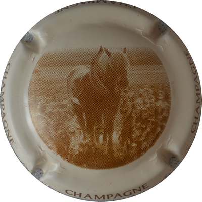 C46a  Marron, contour crème
Photo GOURAUD Jacques
