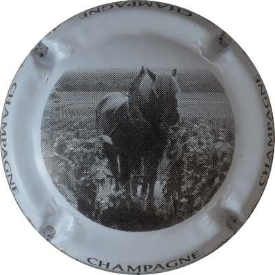 C46b Noir, contour blanc
Photo GOURAUD Jacques
