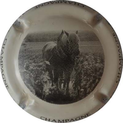 C45c Noir, contour crème
Photo GOURAUD Jacques
