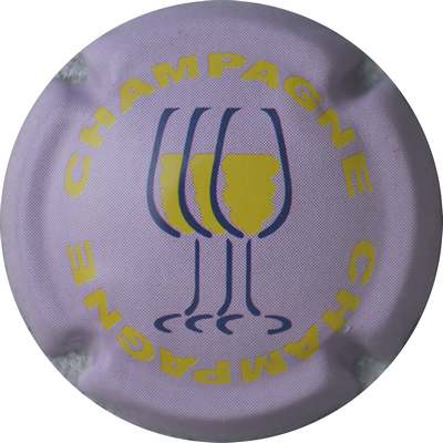 C07 Parme, jaune et noir 
Photo GOURAUD Jacques
