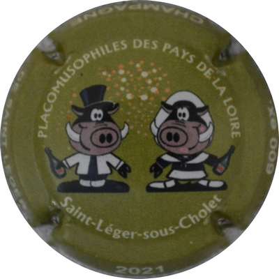 N°49c Placomusophiles des pays de Loire 2021, 600exp
Photo Jacques GOURAUD
