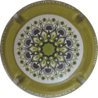 N°109c Rosace, contour kaki
Photo Jacques GOURAUD
