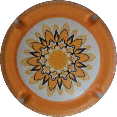 N°109a Rosace, contour orange
Photo Jacques GOURAUD
