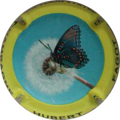 N°04 Série de 5 (papillon), contour jaune
Photo GOURAUD Jacques
