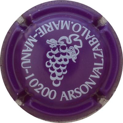 N°02 Série de 6 ( grappe ) Violet et blanc
Photo GOURAUD Jacques
