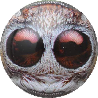 C70 Série de 6, polychrome 
Photo GOURAUD Jacques
